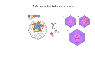 Addendum on Icosohedral virus structures