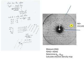 hkl=(11,5,0)Measure I(hkl)F(hkl)= √I(hkl)Determine f(s) = f(hkl)Calculate electron density map