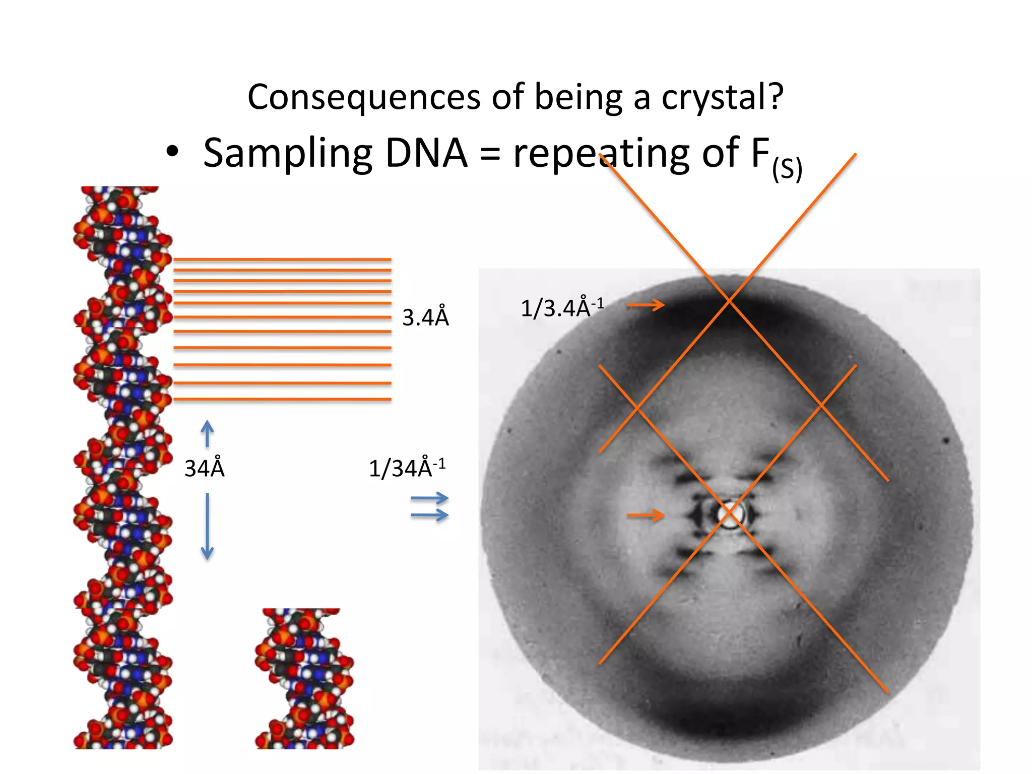 Relative Information in Intensities versus phasesr(r) duckr(r) cat|F(S)|F(S)= Sjfj e(2pirj.S)F(S) duckF(S) catf(s)|F(S)|duckr(r) = SF(S) e(-2pir.S)f(s) catLooks like a ….. 