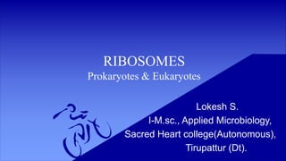 RIBOSOMES
Prokaryotes & Eukaryotes
Lokesh S.
I-M.sc., Applied Microbiology,
Sacred Heart college(Autonomous),
Tirupattur (Dt).
 