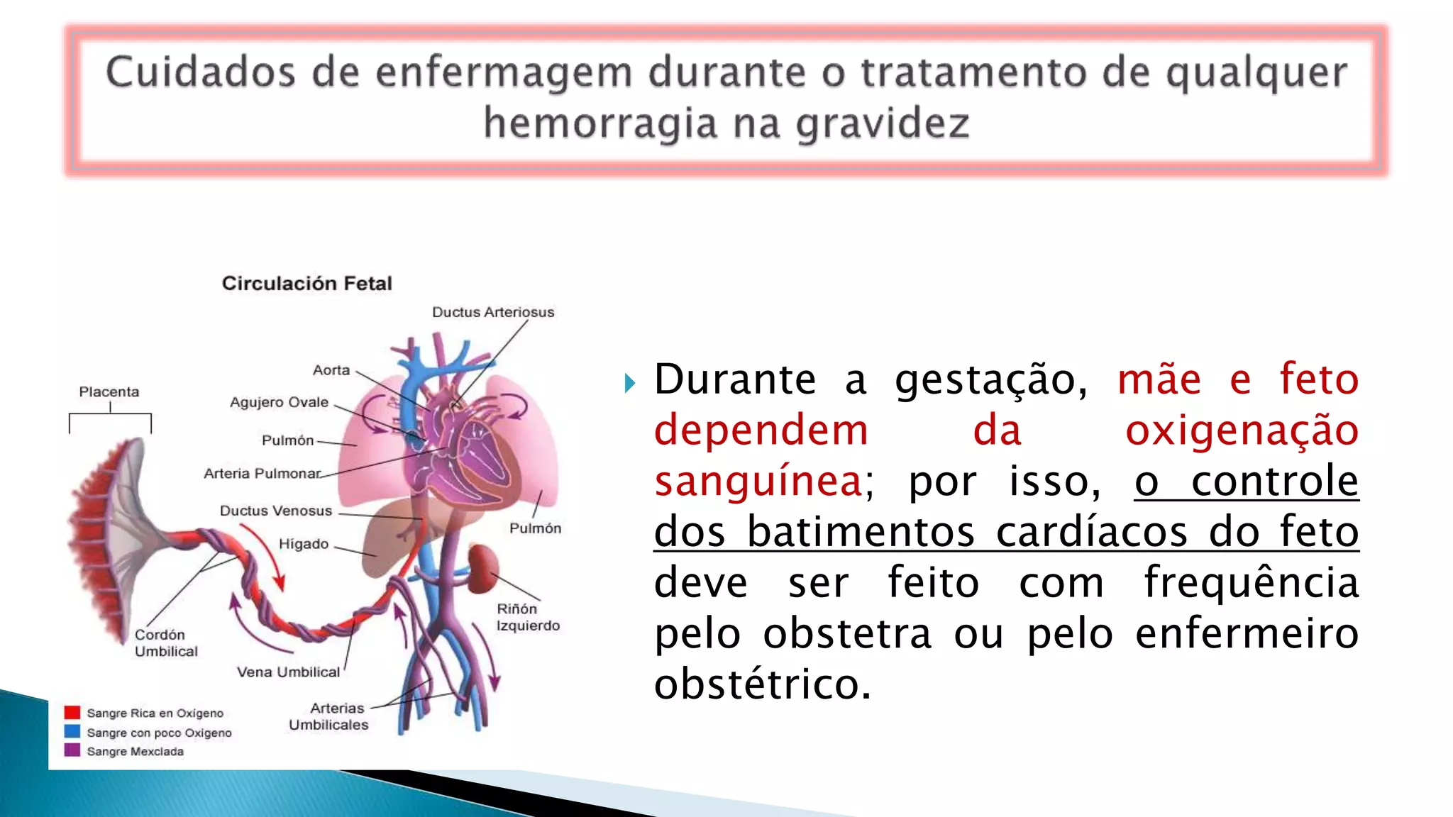  Durante a gestação, mãe e feto
dependem da oxigenação
sanguínea; por isso, o controle
dos batimentos cardíacos do feto
deve ser feito com frequência
pelo obstetra ou pelo enfermeiro
obstétrico.
 