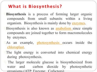 BP503TP (1).ppt