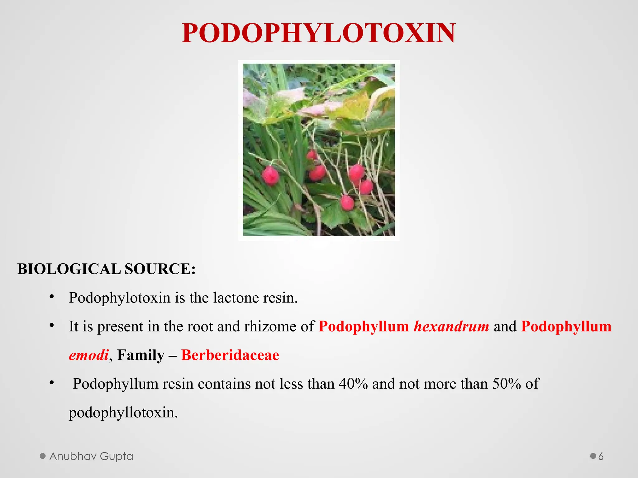 Anubhav Gupta 6
PODOPHYLOTOXIN
BIOLOGICAL SOURCE:
• Podophylotoxin is the lactone resin.
• It is present in the root and rhizome of Podophyllum hexandrum and Podophyllum
emodi, Family – Berberidaceae
• Podophyllum resin contains not less than 40% and not more than 50% of
podophyllotoxin.
 