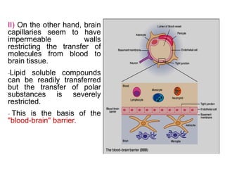 II) On the other hand, brain
capillaries seem to have
impermeable walls
restricting the transfer of
molecules from blood to
brain tissue.
-Lipid soluble compounds
can be readily transferred
but the transfer of polar
substances is severely
restricted.
- This is the basis of the
"blood-brain" barrier.
 