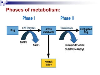 Phases of metabolism:
 