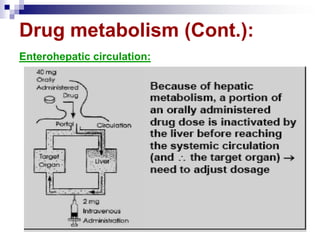 Drug metabolism (Cont.):
Enterohepatic circulation:
 