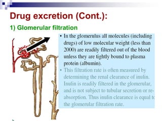 Drug excretion (Cont.):
1) Glomerular filtration
 