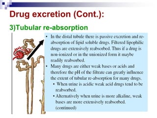 Drug excretion (Cont.):
3)Tubular re-absorption
 