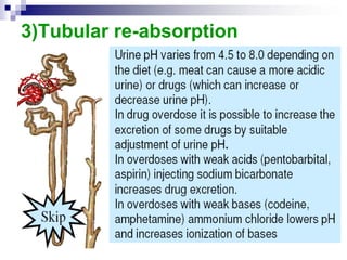 3)Tubular re-absorption
 