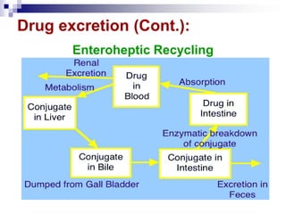 Drug excretion (Cont.):
Enteroheptic Recycling
 