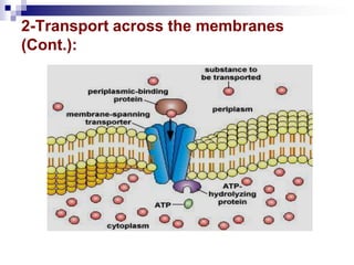 2-Transport across the membranes
(Cont.):
 