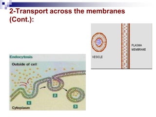 2-Transport across the membranes
(Cont.):
 
