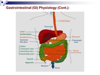 Gastrointestinal (GI) Physiology (Cont.):
 