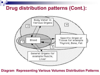 Drug distribution patterns (Cont.):
Diagram Representing Various Volumes Distribution Patterns
 