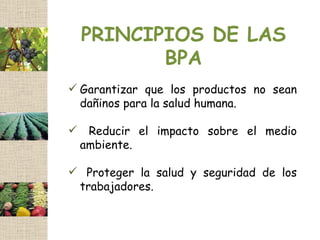 PRINCIPIOS DE LAS
           BPA
 Garantizar que los productos no sean
  dañinos para la salud humana.

    Reducir el impacto sobre el medio
    ambiente.

 Proteger la salud y seguridad de los
 trabajadores.
 