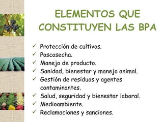 ELEMENTOS QUE
    CONSTITUYEN LAS BPA
 Protección de cultivos.
 Poscosecha.
 Manejo de producto.
 Sanidad, bienestar y manejo animal.
 Gestión de residuos y agentes
  contaminantes.
 Salud, seguridad y bienestar laboral.
 Medioambiente.
 Reclamaciones y sanciones.
 
