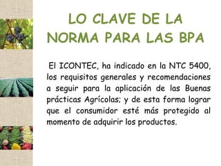 LO CLAVE DE LA
NORMA PARA LAS BPA
 El ICONTEC, ha indicado en la NTC 5400,
los requisitos generales y recomendaciones
a seguir para la aplicación de las Buenas
prácticas Agrícolas; y de esta forma lograr
que el consumidor esté más protegido al
momento de adquirir los productos.
 
