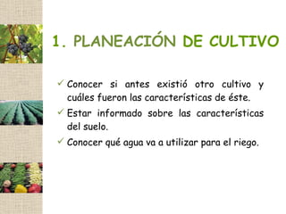 1. PLANEACIÓN DE CULTIVO

 Conocer si antes existió otro cultivo y
  cuáles fueron las características de éste.
 Estar informado sobre las características
  del suelo.
 Conocer qué agua va a utilizar para el riego.
 