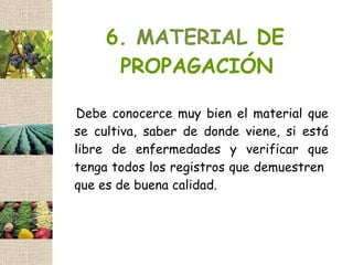 6. MATERIAL DE
      PROPAGACIÓN

Debe conocerce muy bien el material que
se cultiva, saber de donde viene, si está
libre de enfermedades y verificar que
tenga todos los registros que demuestren
que es de buena calidad.
 