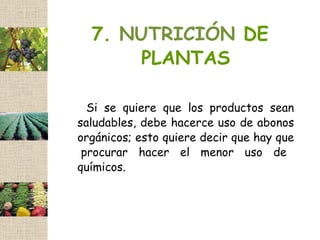 7. NUTRICIÓN DE
       PLANTAS

  Si se quiere que los productos sean
saludables, debe hacerce uso de abonos
orgánicos; esto quiere decir que hay que
 procurar hacer el menor uso de
químicos.
 