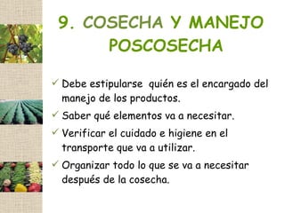 9. COSECHA Y MANEJO
      POSCOSECHA

 Debe estipularse quién es el encargado del
  manejo de los productos.
 Saber qué elementos va a necesitar.
 Verificar el cuidado e higiene en el
  transporte que va a utilizar.
 Organizar todo lo que se va a necesitar
  después de la cosecha.
 