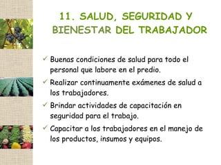 11. SALUD, SEGURIDAD Y
  BIENESTAR DEL TRABAJADOR

 Buenas condiciones de salud para todo el
  personal que labore en el predio.
 Realizar continuamente exámenes de salud a
  los trabajadores.
 Brindar actividades de capacitación en
  seguridad para el trabajo.
 Capacitar a los trabajadores en el manejo de
  los productos, insumos y equipos.
 
