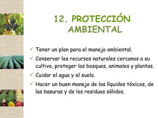 12. PROTECCIÓN
             AMBIENTAL

 Tener un plan para el manejo ambiental.
 Conservar los recursos naturales cercanos a su
  cultivo, proteger los bosques, animales y plantas.
 Cuidar el agua y el suelo.
 Hacer un buen manejo de los líquidos tóxicos, de
  las basuras y de los residuos sólidos.
 