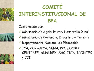 COMITÉ
INTERINSTITUCIONAL DE
         BPA
Conformado por:
 Ministerio de Agricultura y Desarrollo Rural
 Ministerio de Comercio, Industria y Turismo
 Departamento Nacional de Planeación
 ICA, CORPOICA, SENA, PROEXPORT,
  CENICAFE, ANALDEX, SAC, IICA, ICONTEC
  y CCI.
 