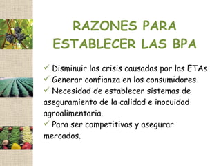 RAZONES PARA
  ESTABLECER LAS BPA
 Disminuir las crisis causadas por las ETAs
 Generar confianza en los consumidores
 Necesidad de establecer sistemas de
aseguramiento de la calidad e inocuidad
agroalimentaria.
 Para ser competitivos y asegurar
mercados.
 