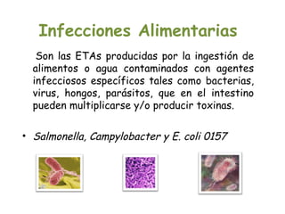 Infecciones Alimentarias
   Son las ETAs producidas por la ingestión de
  alimentos o agua contaminados con agentes
  infecciosos específicos tales como bacterias,
  virus, hongos, parásitos, que en el intestino
  pueden multiplicarse y/o producir toxinas.

• Salmonella, Campylobacter y E. coli 0157
 
