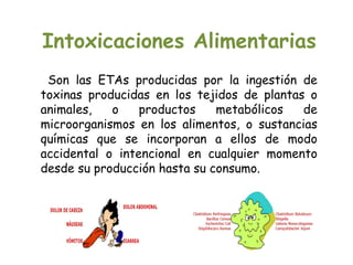 Intoxicaciones Alimentarias
 Son las ETAs producidas por la ingestión de
toxinas producidas en los tejidos de plantas o
animales,   o    productos    metabólicos   de
microorganismos en los alimentos, o sustancias
químicas que se incorporan a ellos de modo
accidental o intencional en cualquier momento
desde su producción hasta su consumo.
 