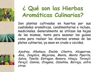 ¿ Qué son las Hierbas
  Aromáticas Culinarias?
Son plantas cultivadas en huertos por sus
cualidades aromáticas, condimentarias o incluso,
medicinales. Generalmente se utilizan las hojas
de las mismas, tanto para sazonar los guisos
como para realzar los diversos aromas de las
platos culinarios, ya sean en crudo o cocidos.

Ajedrea, Albahaca, Eneldo, Cilantro, Alcaparras,
Anis, Jengibre, Mejorana, Menta, Menta Piperita,
Salvia, Tomillo, Estragon, Romero, Hinojo, Toronjil,
Perejil, Comino, Oregano, Cebollino, Borraja, entre
otras.
 