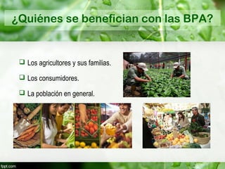BUENAS PRACTICAS AGRICOLAS | PPT