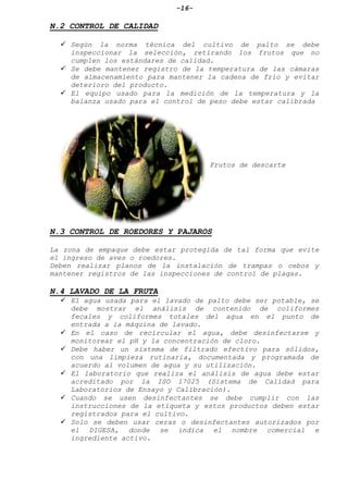-16-
N.2 CONTROL DE CALIDAD
 Según la norma técnica del cultivo de palto se debe
inspeccionar la selección, retirando los frutos que no
cumplen los estándares de calidad.
 Se debe mantener registro de la temperatura de las cámaras
de almacenamiento para mantener la cadena de frío y evitar
deterioro del producto.
 El equipo usado para la medición de la temperatura y la
balanza usado para el control de peso debe estar calibrada
Frutos de descarte
N.3 CONTROL DE ROEDORES Y PAJAROS
La zona de empaque debe estar protegida de tal forma que evite
el ingreso de aves o roedores.
Deben realizar planos de la instalación de trampas o cebos y
mantener registros de las inspecciones de control de plagas.
N.4 LAVADO DE LA FRUTA
 El agua usada para el lavado de palto debe ser potable, se
debe mostrar el análisis de contenido de coliformes
fecales y coliformes totales del agua en el punto de
entrada a la máquina de lavado.
 En el caso de recircular el agua, debe desinfectarse y
monitorear el pH y la concentración de cloro.
 Debe haber un sistema de filtrado efectivo para sólidos,
con una limpieza rutinaria, documentada y programada de
acuerdo al volumen de agua y su utilización.
 El laboratorio que realiza el análisis de agua debe estar
acreditado por la ISO 17025 (Sistema de Calidad para
Laboratorios de Ensayo y Calibración).
 Cuando se usen desinfectantes se debe cumplir con las
instrucciones de la etiqueta y estos productos deben estar
registrados para el cultivo.
 Solo se deben usar ceras o desinfectantes autorizados por
el DIGESA, donde se indica el nombre comercial e
ingrediente activo.
 