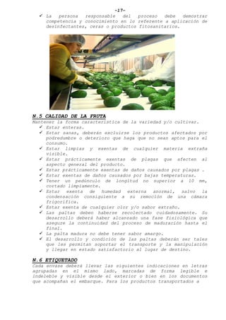 -17-
 La persona responsable del proceso debe demostrar
competencia y conocimiento en lo referente a aplicación de
desinfectantes, ceras o productos fitosanitarios.
N.5 CALIDAD DE LA FRUTA
Mantener la forma característica de la variedad y/o cultivar.
 Estar enteras.
 Estar sanas, deberán excluirse los productos afectados por
podredumbre o deterioro que haga que no sean aptos para el
consumo.
 Estar limpias y exentas de cualquier materia extraña
visible.
 Estar prácticamente exentas de plagas que afecten al
aspecto general del producto.
 Estar prácticamente exentas de daños causados por plagas .
 Estar exentas de daños causados por bajas temperaturas.
 Tener un pedúnculo de longitud no superior a 10 mm,
cortado limpiamente.
 Estar exenta de humedad externa anormal, salvo la
condensación consiguiente a su remoción de una cámara
frigorífica.
 Estar exenta de cualquier olor y/o sabor extraño.
 Las paltas deben haberse recolectado cuidadosamente. Su
desarrollo deberá haber alcanzado una fase fisiológica que
asegure la continuidad del proceso de maduración hasta el
final.
 La palta madura no debe tener sabor amargo.
 El desarrollo y condición de las paltas deberán ser tales
que les permitan soportar el transporte y la manipulación
y llegar en estado satisfactorio al lugar de destino.
N.6 ETIQUETADO
Cada envase deberá llevar las siguientes indicaciones en letras
agrupadas en el mismo lado, marcadas de forma legible e
indeleble y visible desde el exterior o bien en los documentos
que acompañan el embarque. Para los productos transportados a
 