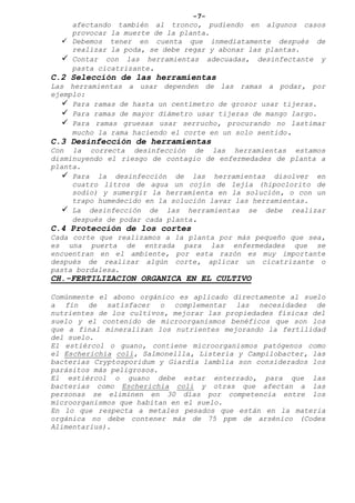 -7-
afectando también al tronco, pudiendo en algunos casos
provocar la muerte de la planta.
 Debemos tener en cuenta que inmediatamente después de
realizar la poda, se debe regar y abonar las plantas.
 Contar con las herramientas adecuadas, desinfectante y
pasta cicatrizante.
C.2 Selección de las herramientas
Las herramientas a usar dependen de las ramas a podar, por
ejemplo:
 Para ramas de hasta un centímetro de grosor usar tijeras.
 Para ramas de mayor diámetro usar tijeras de mango largo.
 Para ramas gruesas usar serrucho, procurando no lastimar
mucho la rama haciendo el corte en un solo sentido.
C.3 Desinfección de herramientas
Con la correcta desinfección de las herramientas estamos
disminuyendo el riesgo de contagio de enfermedades de planta a
planta.
 Para la desinfección de las herramientas disolver en
cuatro litros de agua un cojín de lejía (hipoclorito de
sodio) y sumergir la herramienta en la solución, o con un
trapo humedecido en la solución lavar las herramientas.
 La desinfección de las herramientas se debe realizar
después de podar cada planta.
C.4 Protección de los cortes
Cada corte que realizamos a la planta por más pequeño que sea,
es una puerta de entrada para las enfermedades que se
encuentran en el ambiente, por esta razón es muy importante
después de realizar algún corte, aplicar un cicatrizante o
pasta bordalesa.
CH.-FERTILIZACION ORGANICA EN EL CULTIVO
Comúnmente el abono orgánico es aplicado directamente al suelo
a fin de satisfacer o complementar las necesidades de
nutrientes de los cultivos, mejorar las propiedades físicas del
suelo y el contenido de microorganismos benéficos que son los
que a final mineralizan los nutrientes mejorando la fertilidad
del suelo.
El estiércol o guano, contiene microorganismos patógenos como
el Escherichia coli, Salmonellla, Listeria y Campilobacter, las
bacterias Cryptosporidum y Giardia lamblia son considerados los
parásitos más peligrosos.
El estiércol o guano debe estar enterrado, para que las
bacterias como Escherichia coli y otras que afectan a las
personas se eliminen en 30 días por competencia entre los
microorganismos que habitan en el suelo.
En lo que respecta a metales pesados que están en la materia
orgánica no debe contener más de 75 ppm de arsénico (Codex
Alimentarius).
 