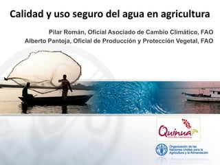 Calidad y uso seguro del agua en agricultura
Pilar Román, Oficial Asociado de Cambio Climático, FAO
Alberto Pantoja, Oficial de Producción y Protección Vegetal, FAO

 