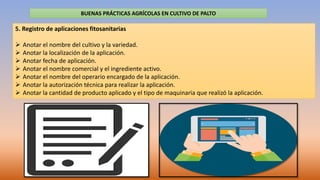 BUENAS PRÁCTICAS AGRÍCOLAS EN CULTIVO DE PALTO
5. Registro de aplicaciones fitosanitarias
 Anotar el nombre del cultivo y...