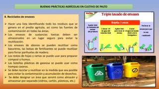 BUENAS PRÁCTICAS AGRÍCOLAS EN CULTIVO DE PALTO
8. Reciclados de envases
 Hacer una lista identificando todo los residuos ...