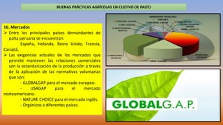 BUENAS PRÁCTICAS AGRÍCOLAS EN CULTIVO DE PALTO
16. Mercados
 Entre los principales países demandantes de
palta peruana se...