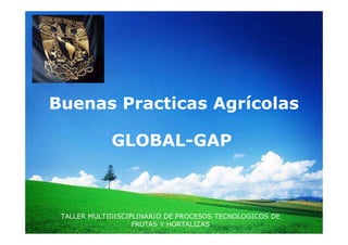 LOGO




 Buenas Practicas Agrícolas

               GLOBAL-GAP



   TALLER MULTIDISCIPLINARIO DE PROCESOS TECNOLOGICOS DE
                     FRUTAS Y HORTALIZAS
 