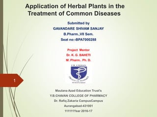 Application of Herbal Plants in the
Treatment of Common Diseases
Submitted by
GAVANDARE SHIVAM SANJAY
B.Pharm.,VII Sem.
Seat no:-BPA7000288
Project Mentor
Dr. K. G. BAHETI
M. Pharm.. Ph. D.
Maulana Azad Education Trust's
Y.B.CHAVAN COLLEGE OF PHARMACY
Dr. Rafiq Zakaria CampusCampus
Aurangabad-431001
111111Year 2016-17
1
 