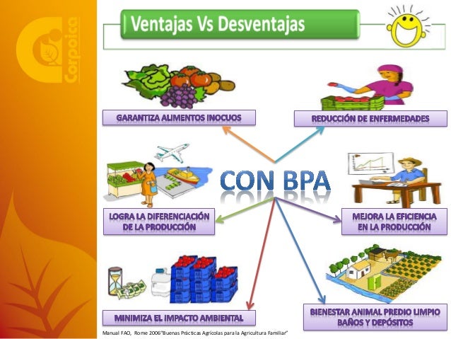 Manual de buenas practicas agricolas pdf