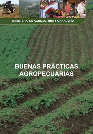 BUENAS PRÁCTICAS
AGROPECUARIAS
MINISTERIO DE AGRICULTURA Y GANADERÍA
 