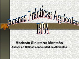 Modesto Sinisterra Montaño Asesor en Calidad e Inocuidad de Alimentos Buenas Prácticas Agrícolas  BPA 