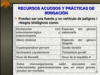 RECURSOS ACUOSOS Y PRÁCTICAS DE IRRIGACIÓN Pueden ser una fuente y un vehículo de peligros / riesgos biológicos como: Estos microorganismos están asociados con enfermedades gastrointestinales que, en casos graves, pueden ser mortales. Virus de la hepatitis A Virus de Norwalk Toxisplasm gondii Cyclospora cayetanensis  Gardia lamblia Cryptosporidium parvum Especies del género  Shigella Vibrio cholerae   Especies del género  salmonella   Escherichia coli  enterohemorrágica y enterovirulenta  