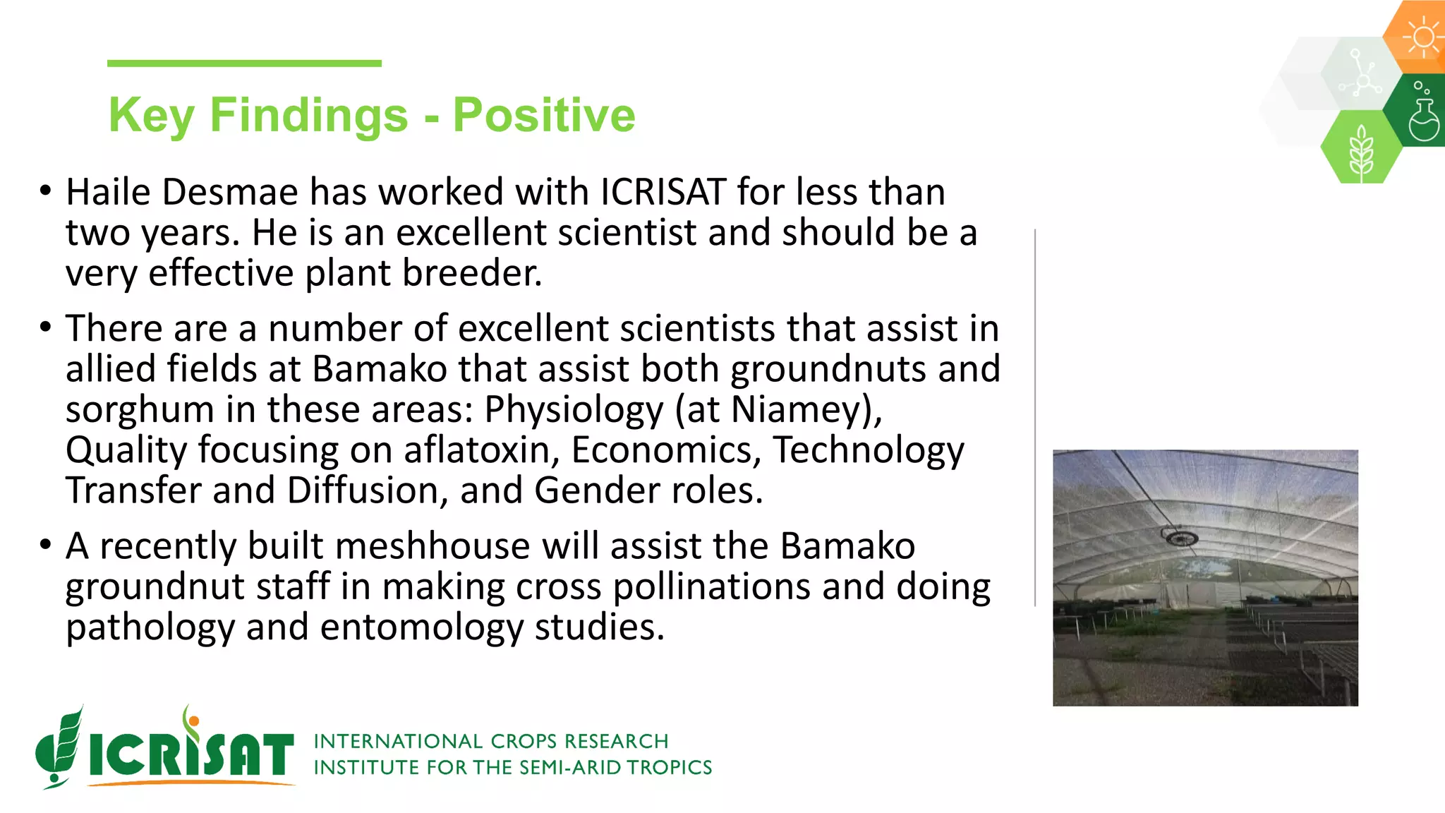 Key Findings - Positive
• Haile Desmae has worked with ICRISAT for less than
two years. He is an excellent scientist and should be a
very effective plant breeder.
• There are a number of excellent scientists that assist in
allied fields at Bamako that assist both groundnuts and
sorghum in these areas: Physiology (at Niamey),
Quality focusing on aflatoxin, Economics, Technology
Transfer and Diffusion, and Gender roles.
• A recently built meshhouse will assist the Bamako
groundnut staff in making cross pollinations and doing
pathology and entomology studies.
 