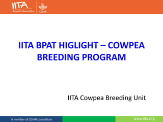 www.iita.orgA member of CGIAR consortium
IITA BPAT HIGLIGHT – COWPEA
BREEDING PROGRAM
IITA Cowpea Breeding Unit
 