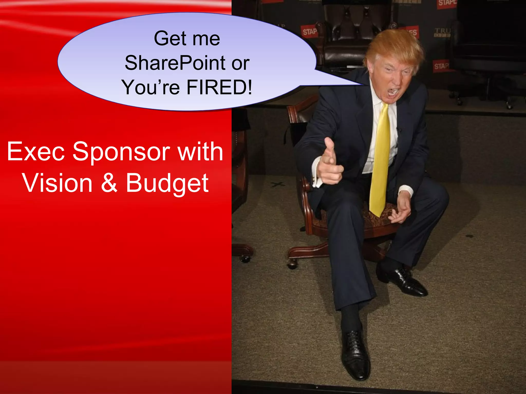 Exec Sponsor with Vision & Budget Get me SharePoint or You’re FIRED! 