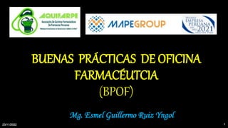 1
BUENAS PRÁCTICAS DE OFICINA
FARMACÉUTCIA
(BPOF)
Mg. Esmel Guillermo Ruiz Yngol
23/11/2022
 